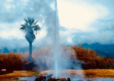 geyser800